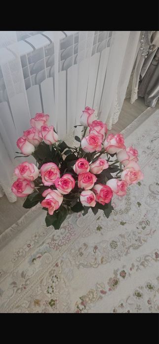 Гүл сатылады жағдайы жақсы