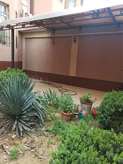 Евродом , элитная махалля, Буюк Ипак Йули!