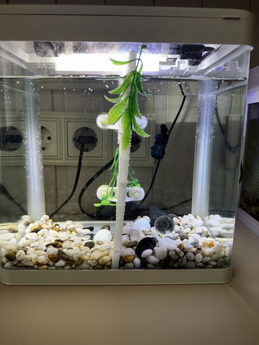 Аквариум 10 литров