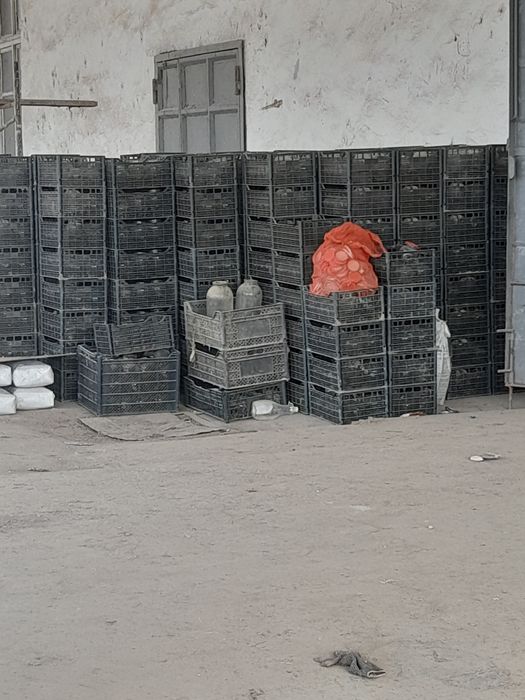 Banka bonka islatilmagan 6 mingta bor  yangi Chang Bogan xalos