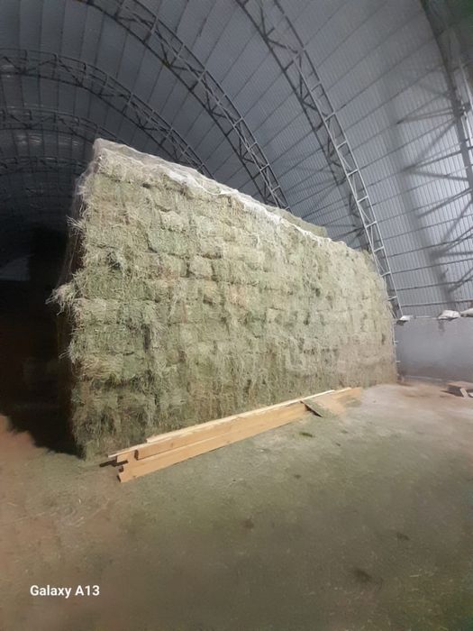 Таза жонышқа сатылады