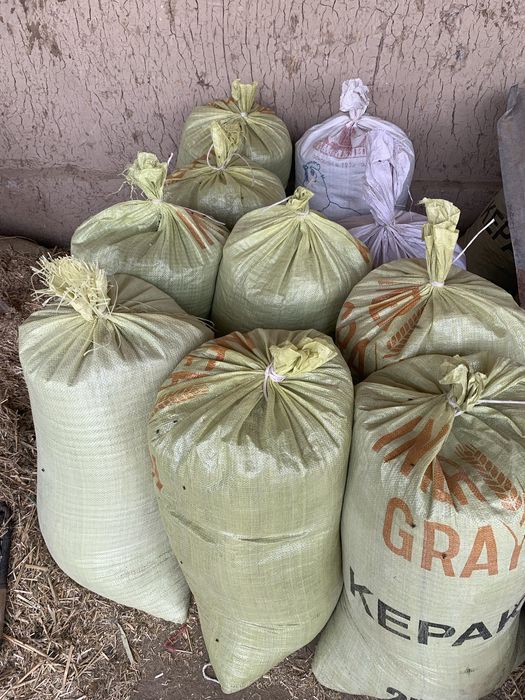 Продается Биогумус Biyogomus sotiladi