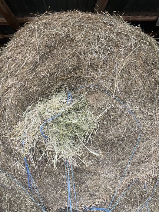 Baloti rotunzi iarba cu lucerna