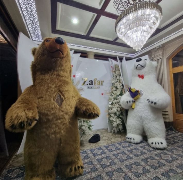 3 Metrli Katta Ayiqchala