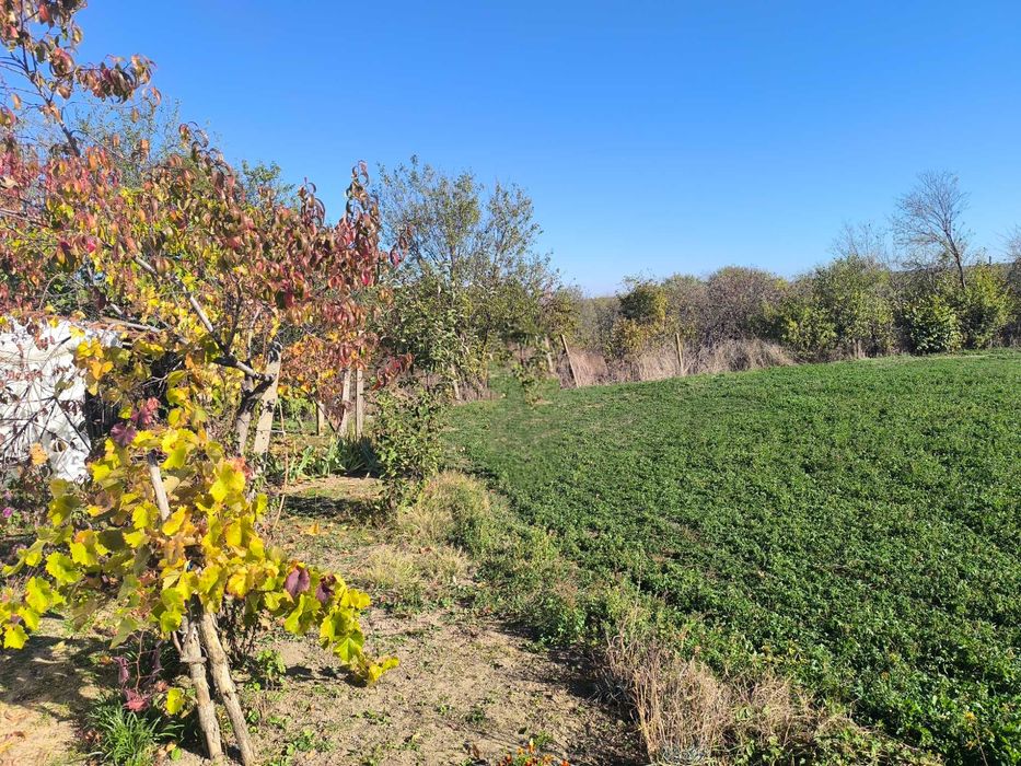 Продава се Къща в Разград, Освобождение - 46 кв.м за 144 €/кв.м - Снимка #2