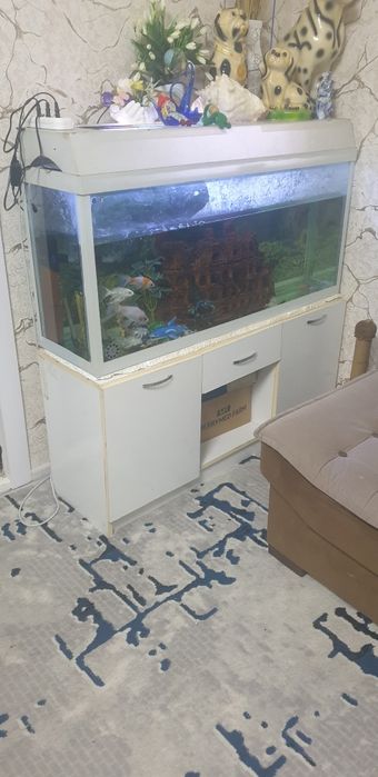 Аквариум с рыбками