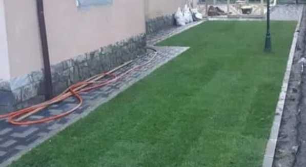 Grădina Ta Merită un Gazon Rulou Premium