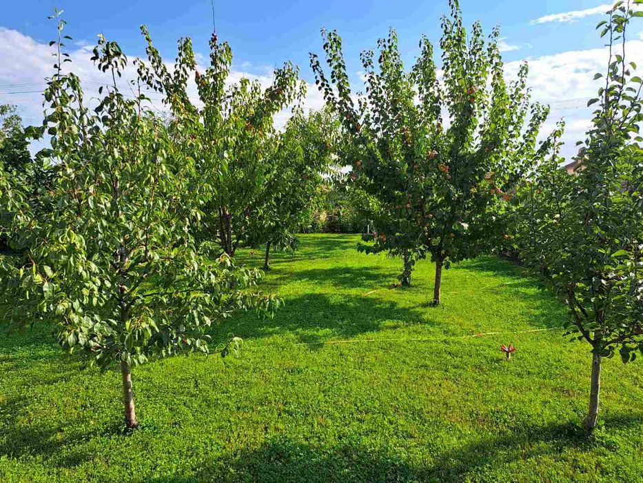 Продава се Парцел в с. Окоп, Област Ямбол - 1250 кв.м за 52 €/кв.м - Снимка #15