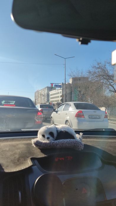 игрушка на панель авто и для дома