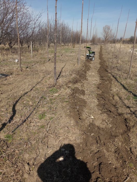 Оран,фрезоване,косене...

+ ФРЕЗОВАНЕ с мото