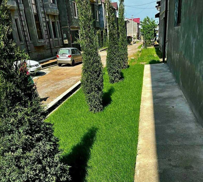 Продаю семена овощей и газона ЕВРОПА