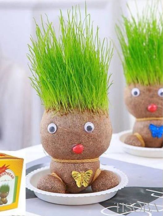 Gazoncha  bu noyob o’yinchoq