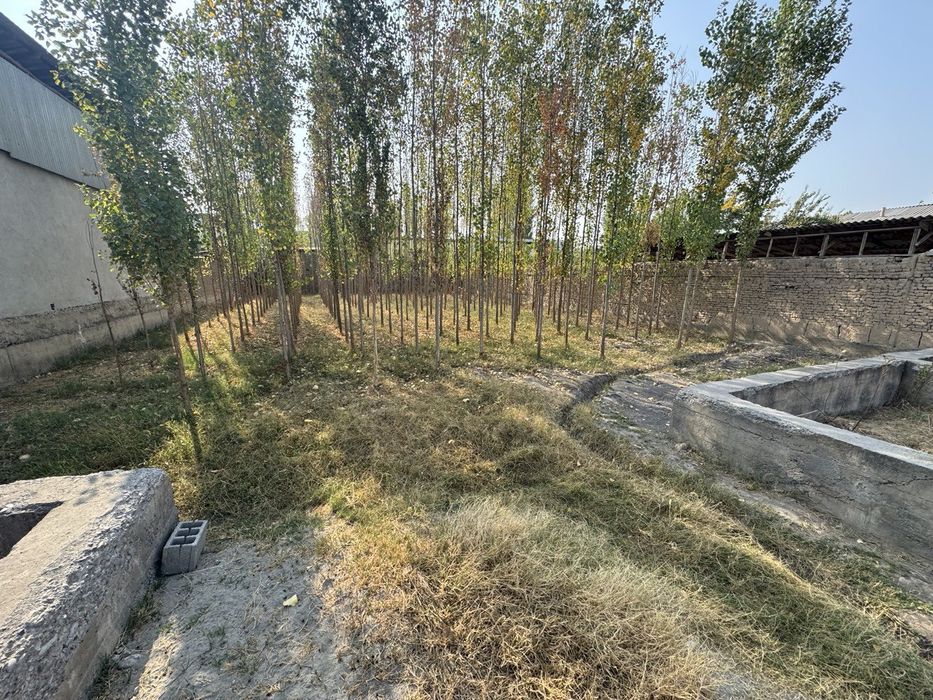 8.5 sotxlik yer sotladi