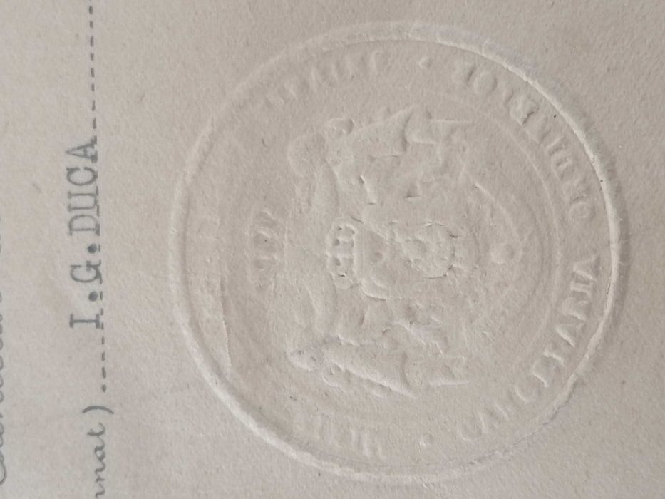 Brevet Ferdinand l  Rege al Romaniei