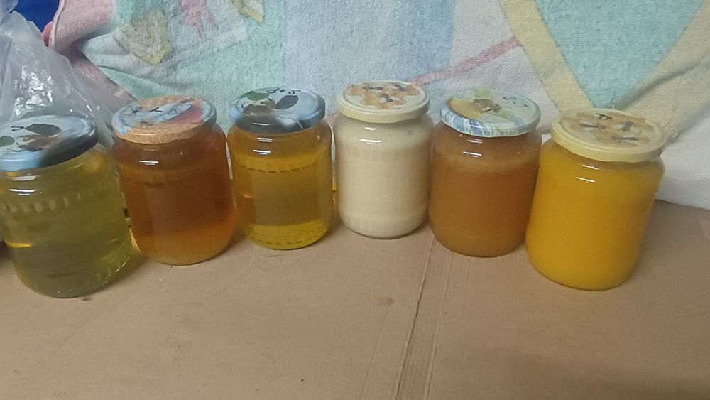 Miere floarea soarelui