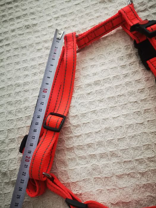 Повод, нагръдник за куче