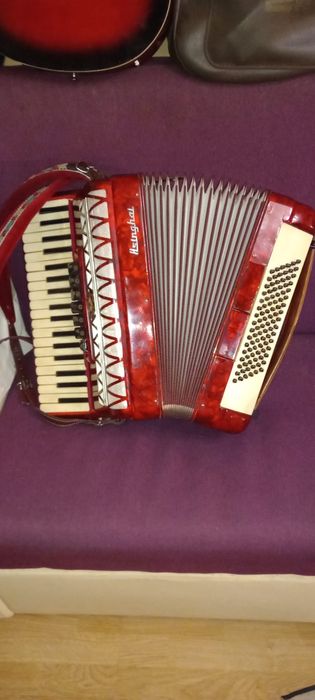 Vând acordeon Hsimghai (Parrot), cu 96 de basi