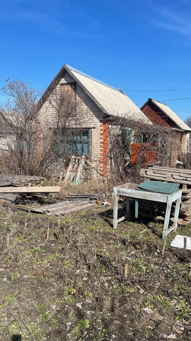 Дача хороший, 4 яблони вкусные