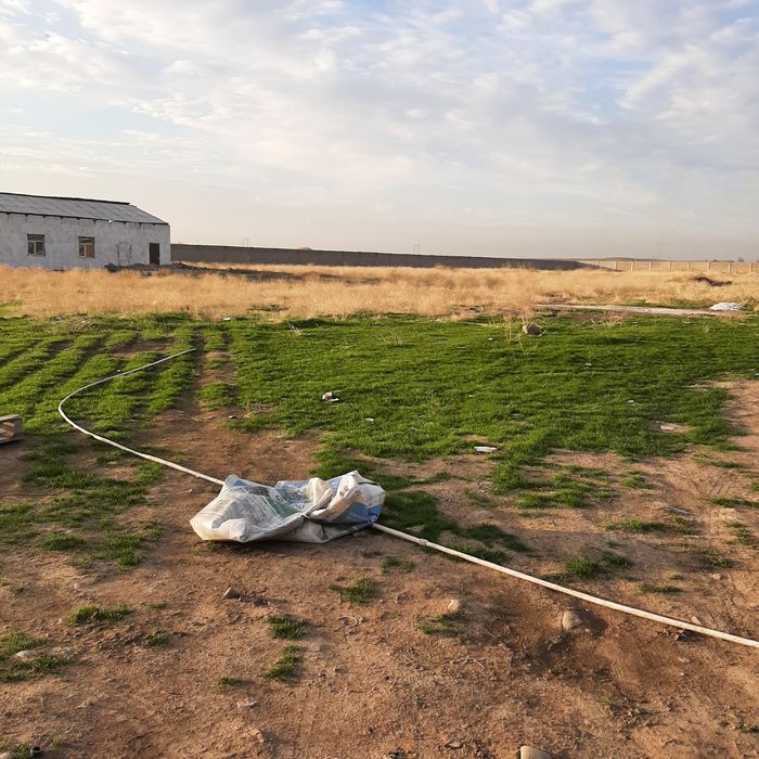 Срочно продаётся 7-гектар Уртасарой