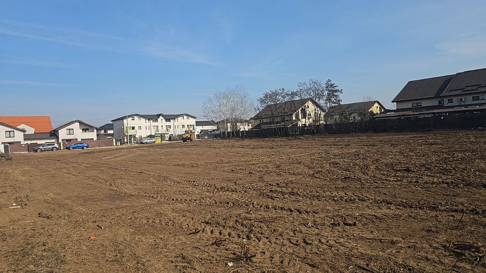 Defrișare / Curățare loc / Demolări.