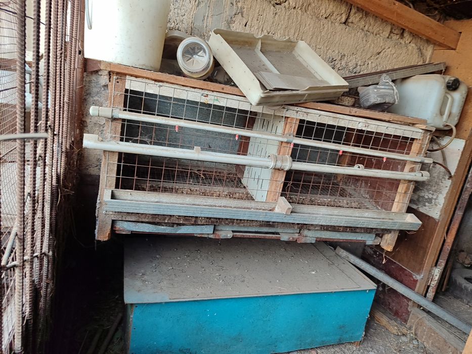 Брудера для птицы