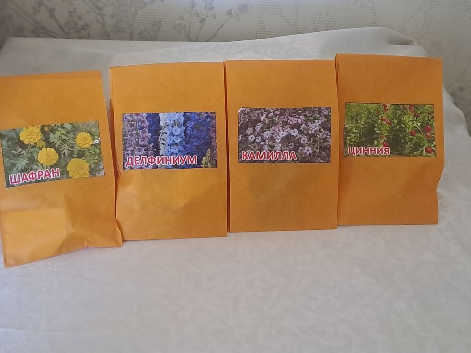 Олий навли гул уруглари сотилади