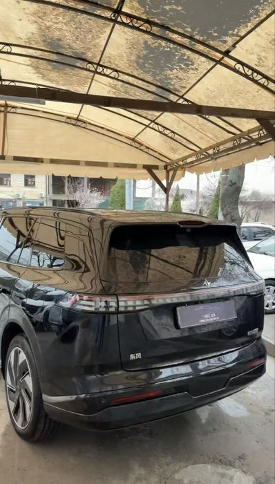 Dongfeng 008 max 2024