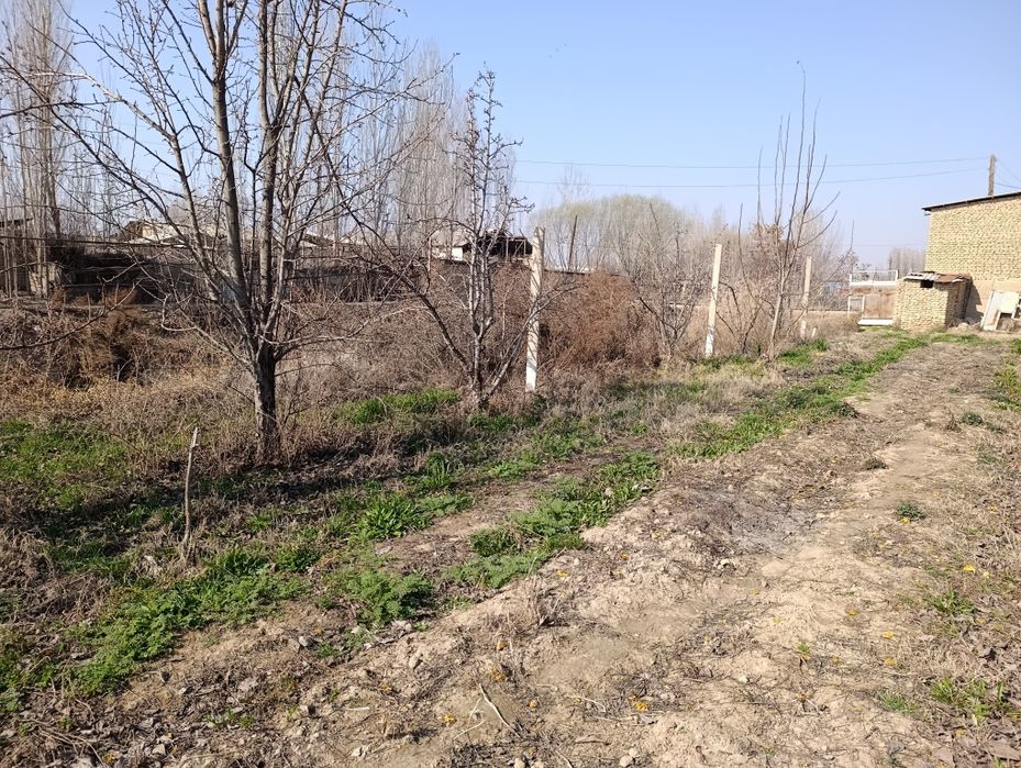 17 sotikli noturar maydon