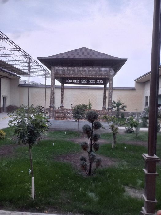 Tapchan suri aksiyada