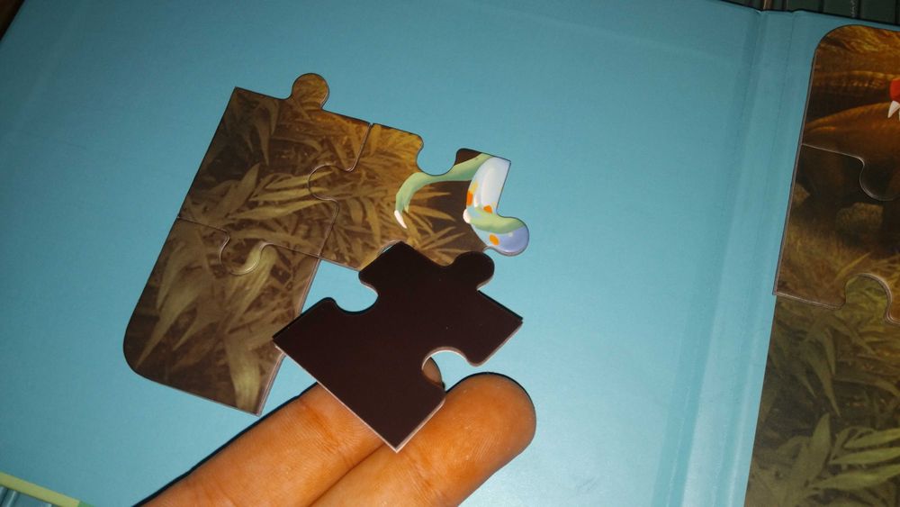 НАМАЛЕНИЯ! 6 модела магнитни пъзели с динозаври с магнитни корици