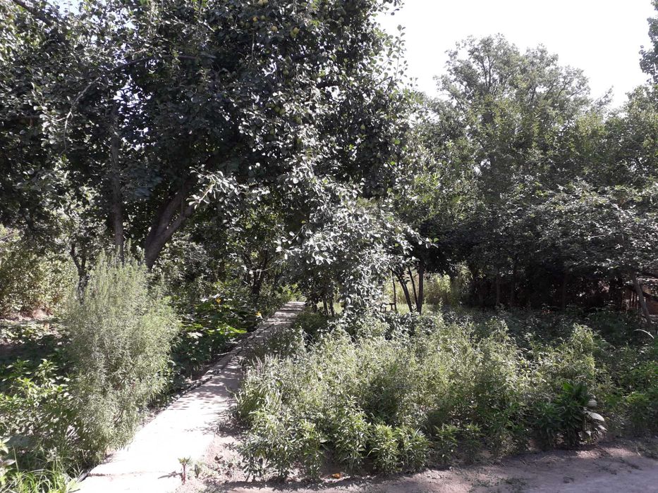 Участок с домом 17 соток земли