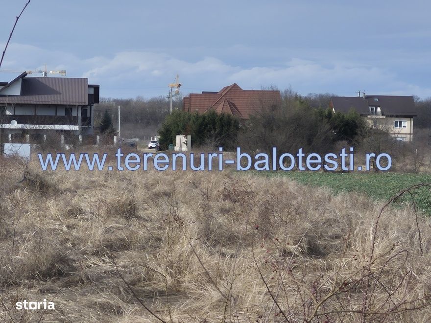 Teren cu gaz si electrica-hotar, 28000 E, padure