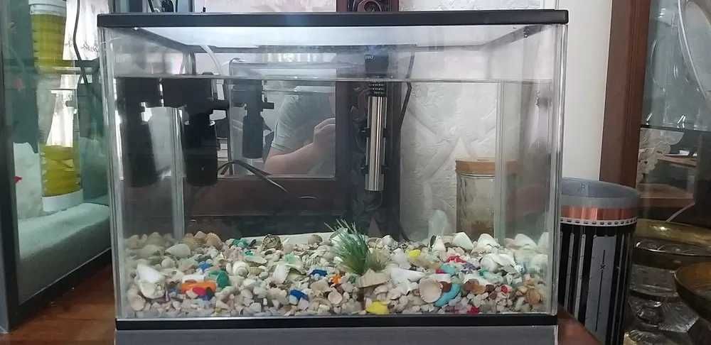 Akvarium Va Guppi 20ta