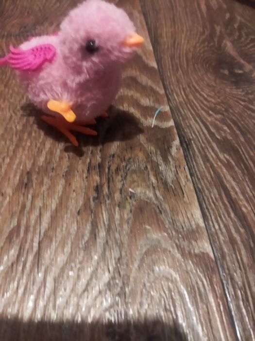 Заводной цыплёнок