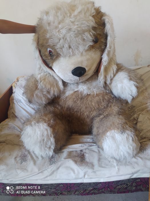 Holati yaxshi bolalarga