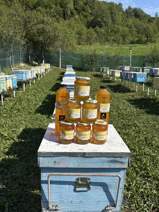 Miere de albine: Polifloră și Tei.Producție 2025 ,livrare la domiciliu