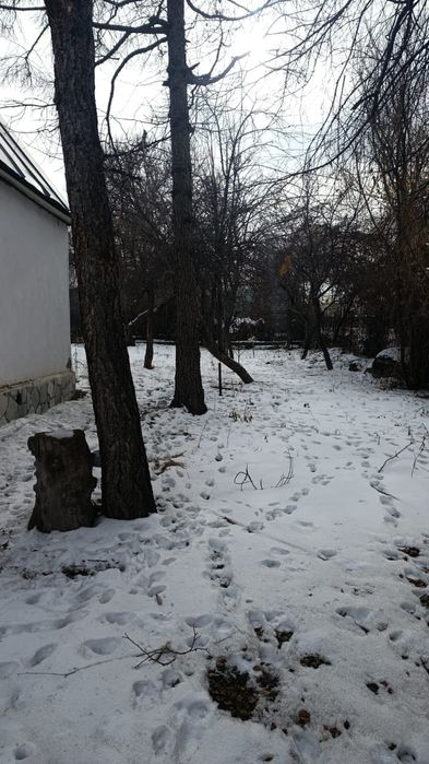 Продам срочно дачу