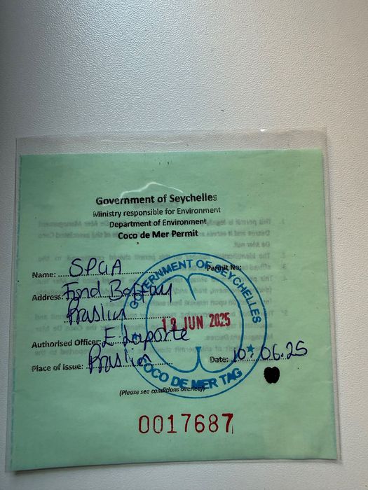 Продам уникальный орех Коко-де-Мер (Coco de Mer)