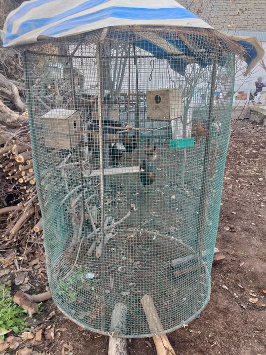 Валер для попугаев