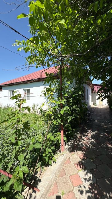 Продается дом с участком