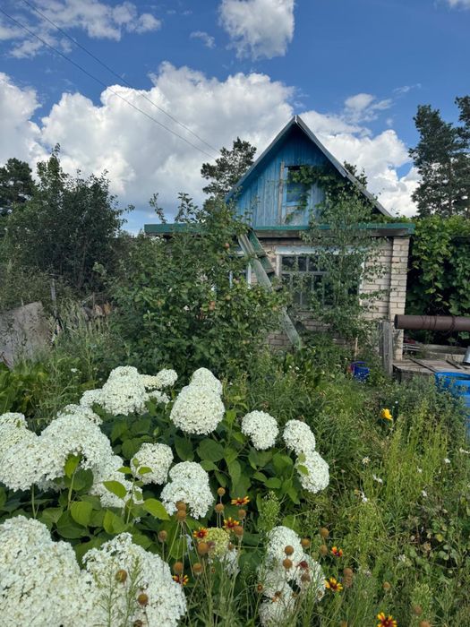 Продам дачу на наримановском рынке