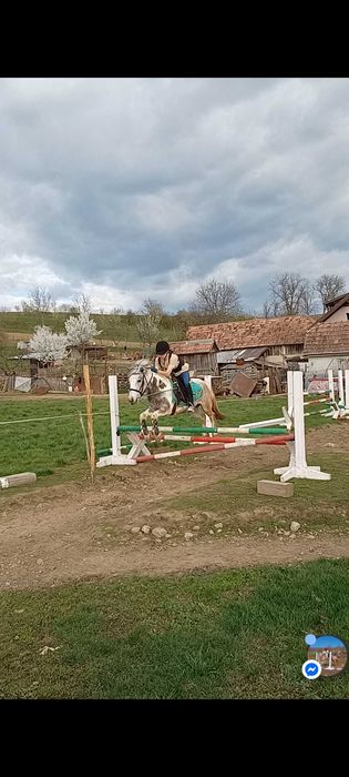 Echitație, lecție de manej