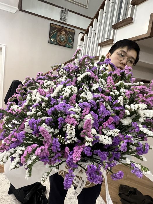 Цветы Статица в кашпо