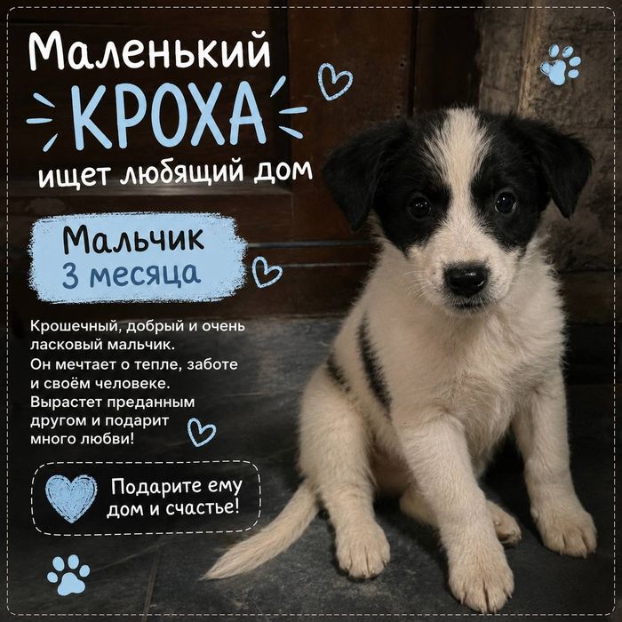 Только в самые любящие руки