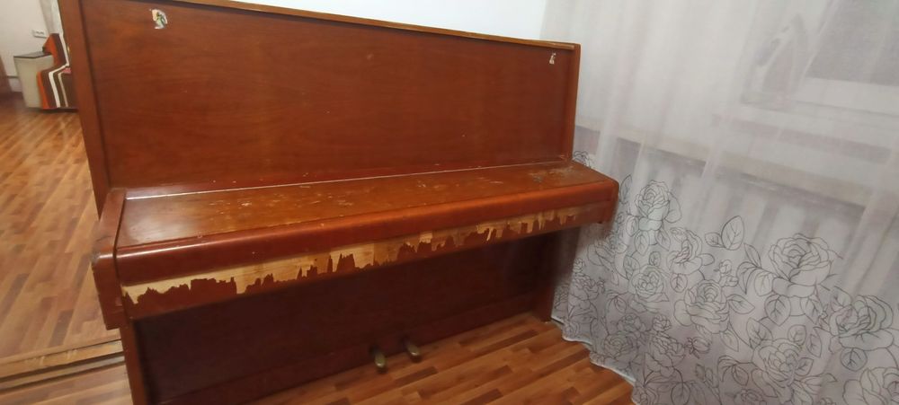 Пионина срочно 1953