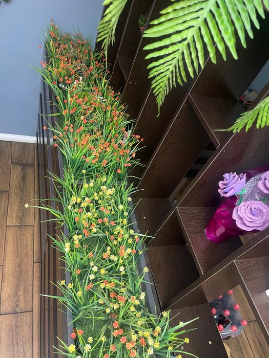 декор  цветов бағасы 15000