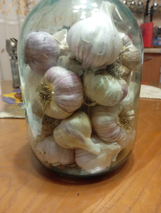 Продам домашний дачный чеснок