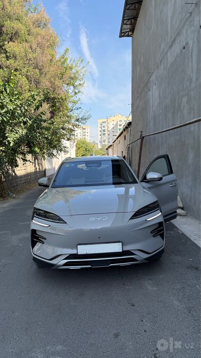 Byd Champion Smart