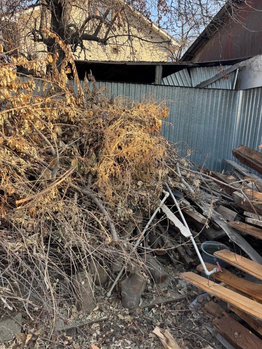 Бесплатно отдам даром