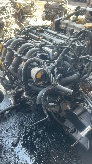 Двс Форд Фокус 1.6 ванус Бензин